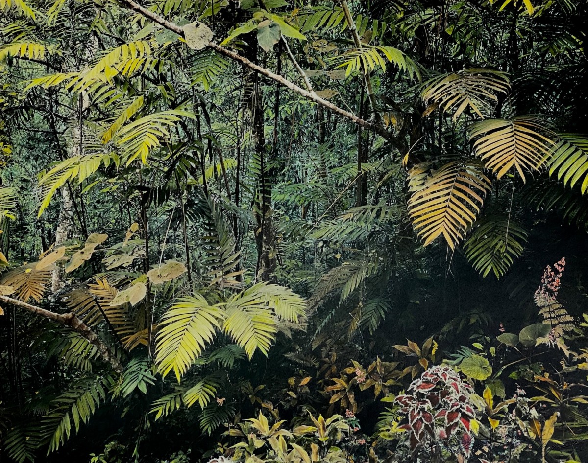 Selvas de Yaxchilan