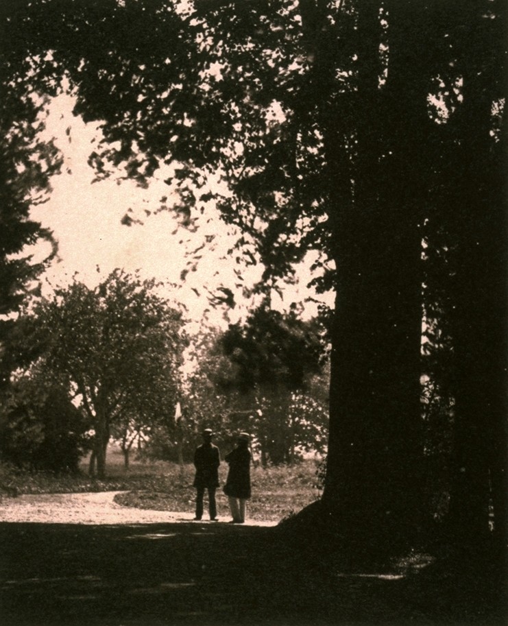 Two Gentlemen on a Road Under Trees