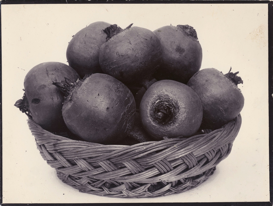 Beet Globe