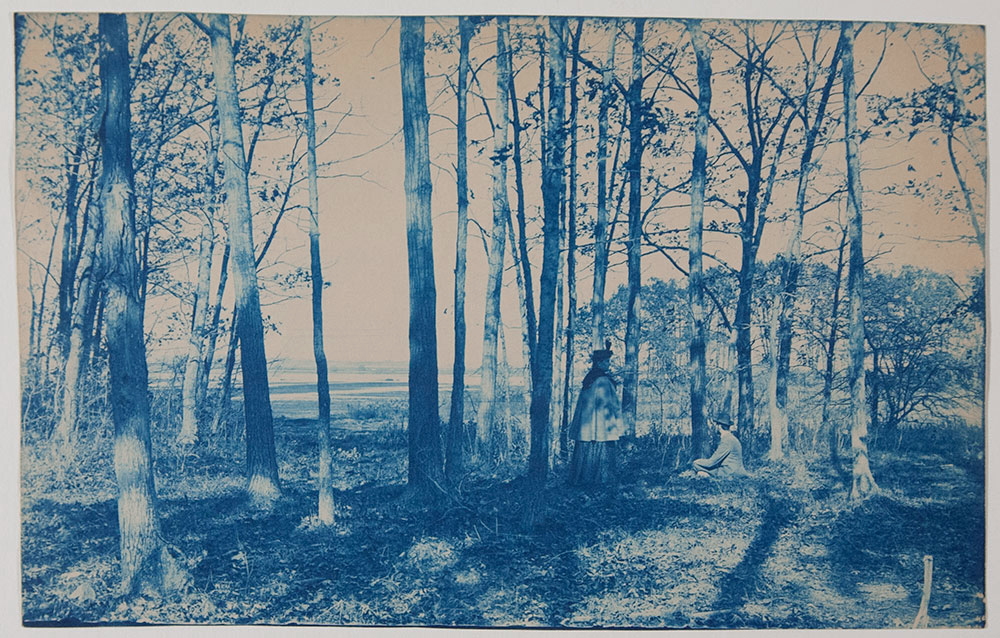 Dana F. Dow, M. Eleanor Dow in Poor Farm Marsh Island