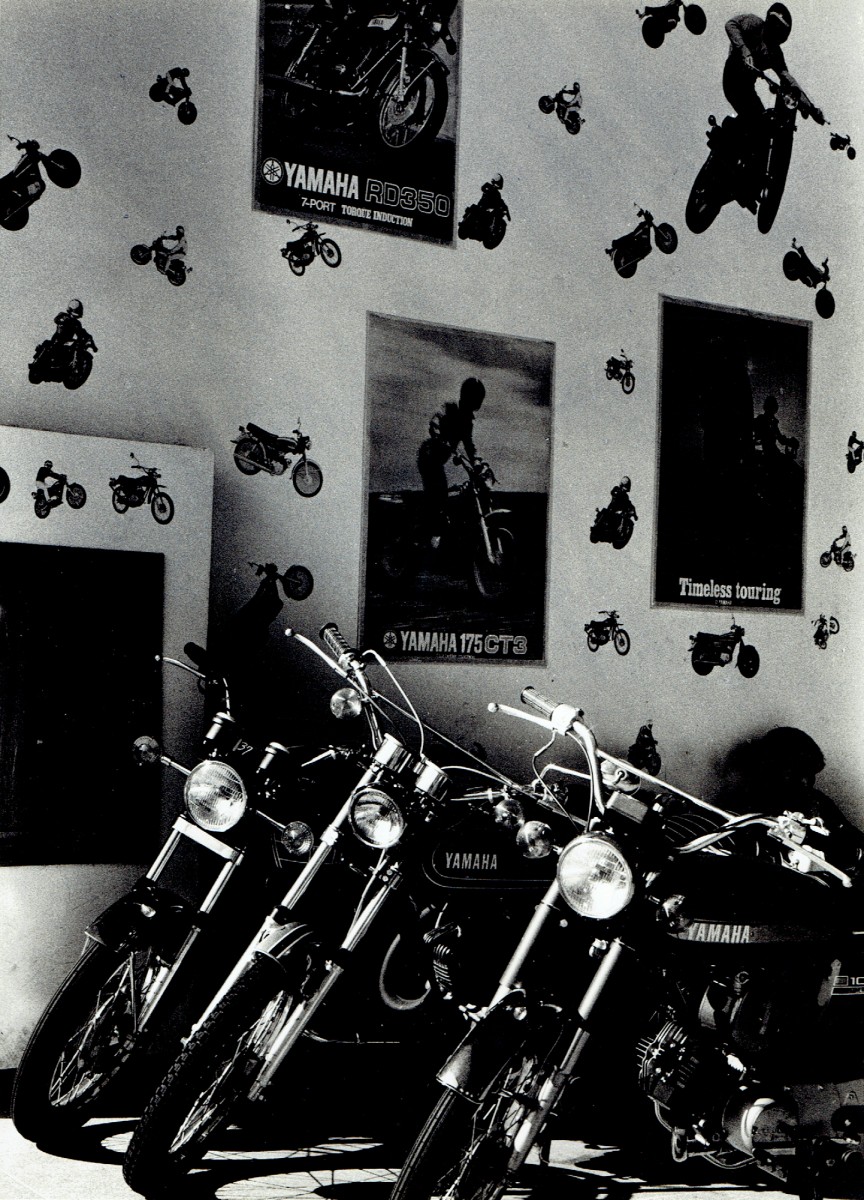 Untitled, from Sistema Nervioso