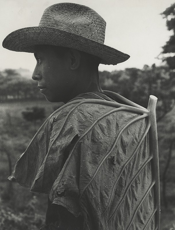 El Nino de la hoja, Veracruz