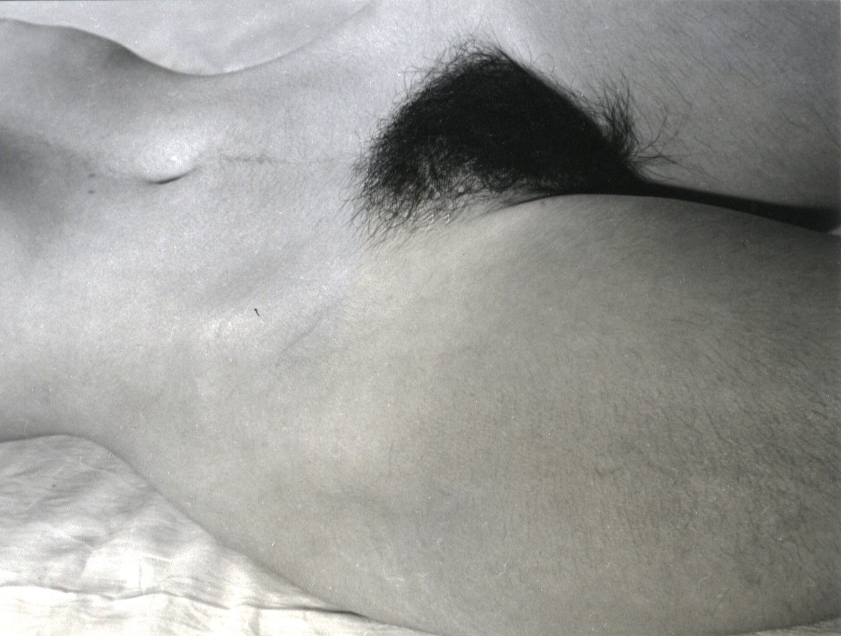 Desnudo (Nude)