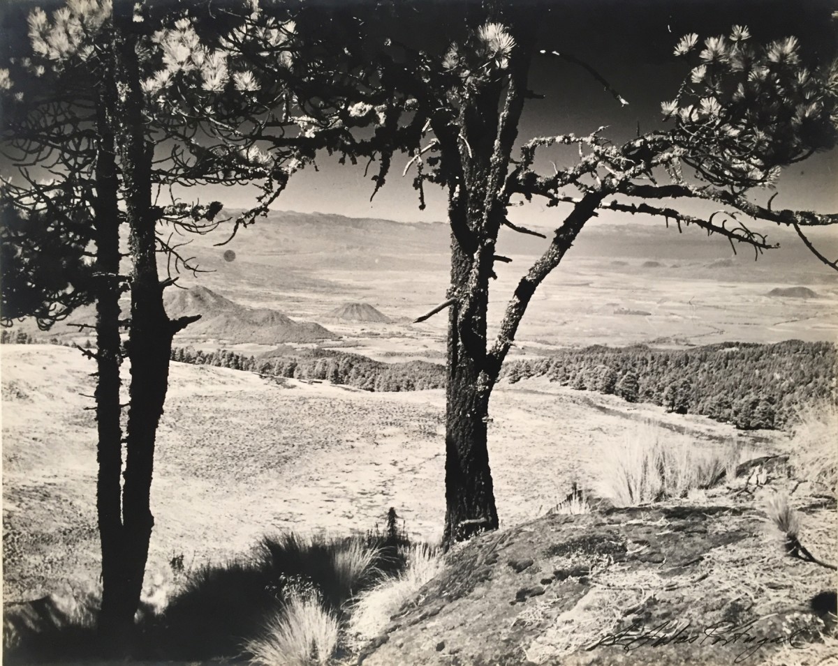 Landscape, Valle de Mexico