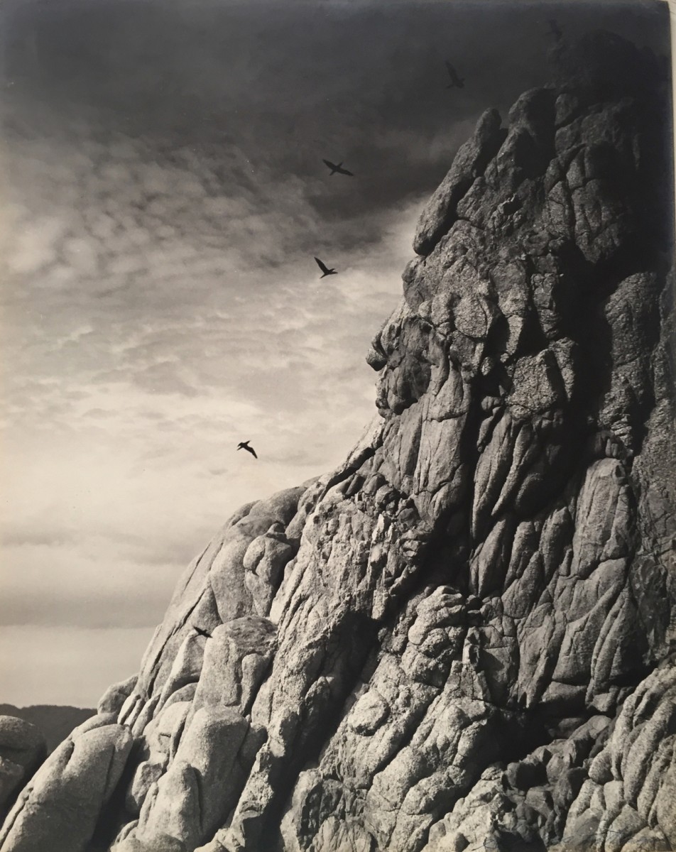 Untitled (cliff with birds)