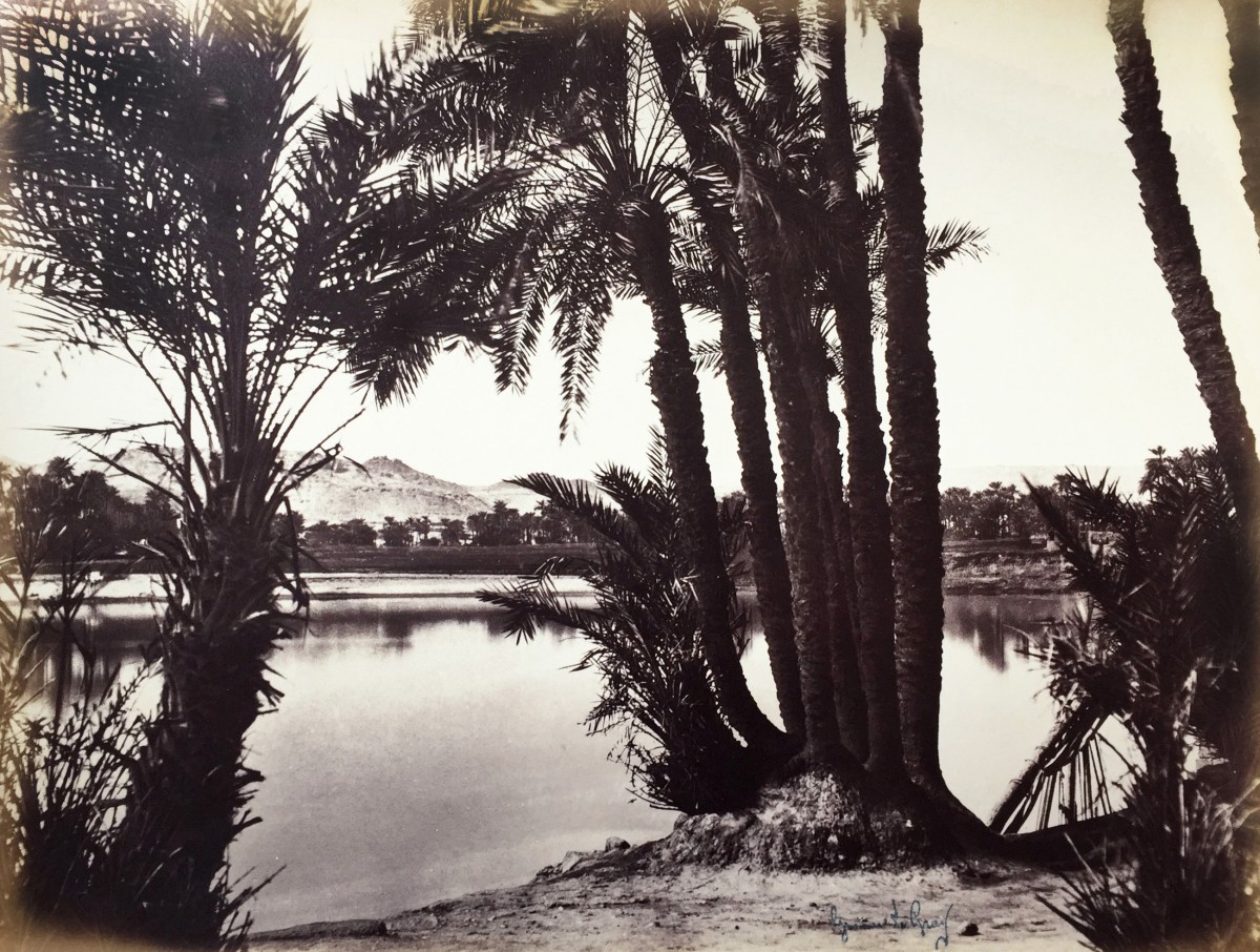 The Nile at Aswan