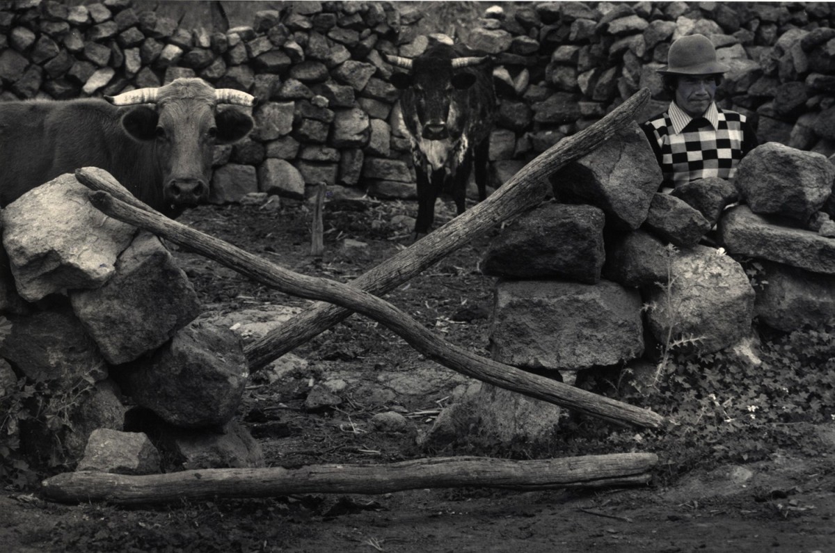 Mexico (Man with Water Buffalo)