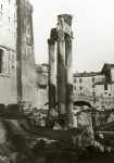 Temple of Vespasian and Titus, Roman Forum