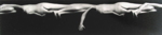 Figure in Motion