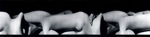Figure in Motion