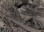 Schieferkuste an der Bretagne (Slatestone Coast, Brittany)