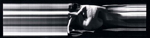 Figure in Motion