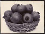 Beet Globe
