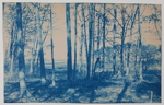 Dana F. Dow, M. Eleanor Dow in Poor Farm Marsh Island