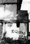 Untitled, from Sistema Nervioso