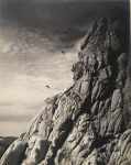 Untitled (cliff with birds)