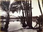 The Nile at Aswan