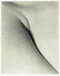 Flesh (Shoulder)