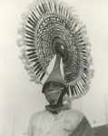 Dansante, Estado de Veracruz