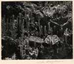 Paisaje de Vidrio / Glass Landscape