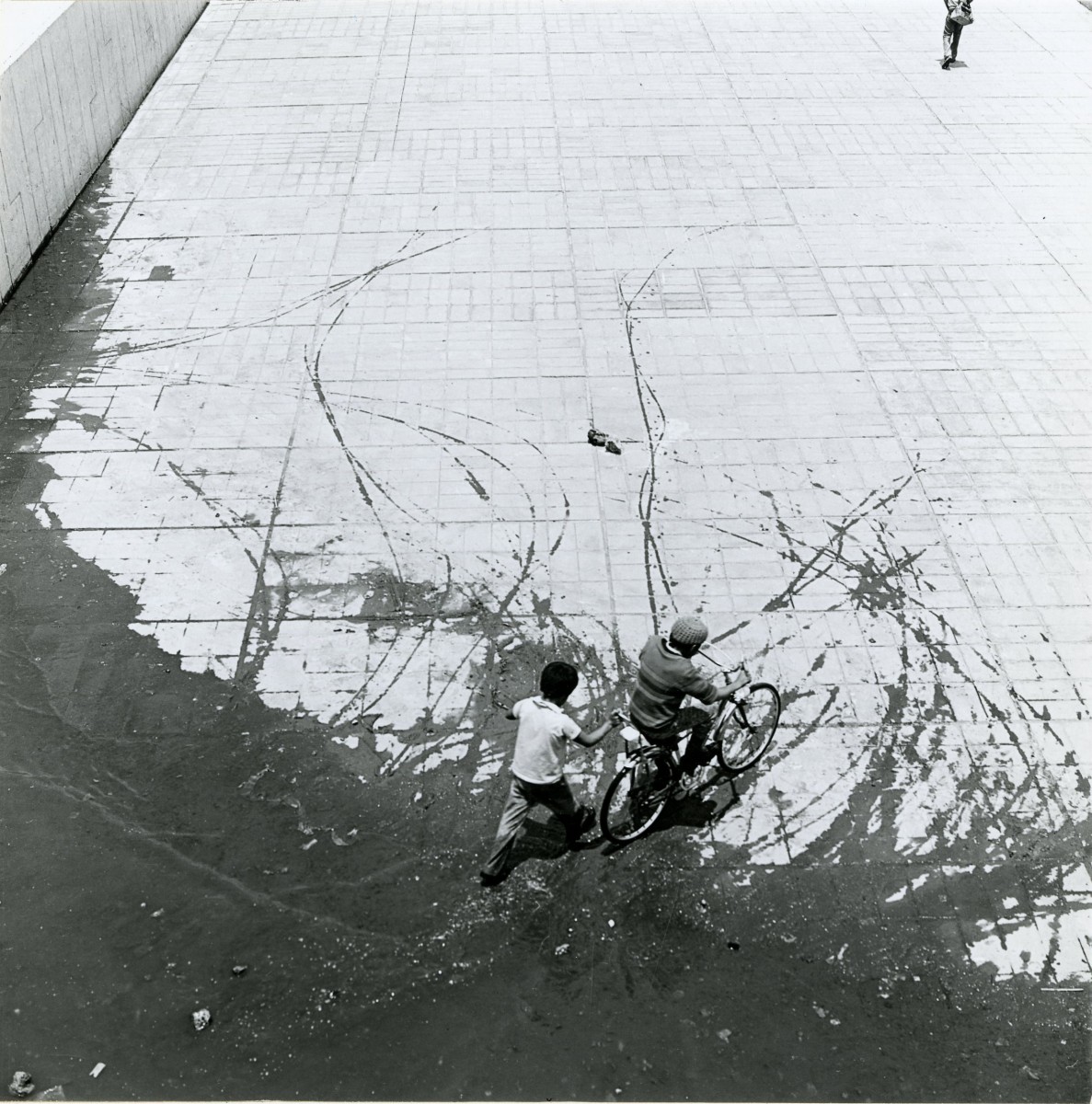 Col. Nezahualcóyotl (Aranas (Huellas))