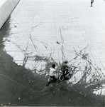 Col. Nezahualcóyotl (Aranas (Huellas))