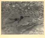 Nino Nadando (Boy Swimming)